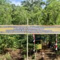 Nikmati Pesona Hutan Desa Alam Lestari Bukit Jupi Wisata Alami di Kepahiang